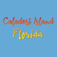 Hot Trend Caladesi Island Florida (2) Basic Youth T-shirt | Artistshot