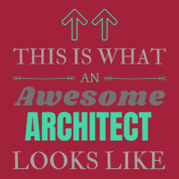 Architect Gift Red Basic T-shirt | Artistshot