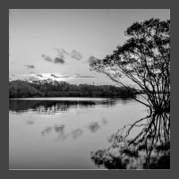 Black And White Landscape Summer Girl Basic T-shirt | Artistshot