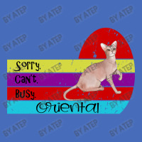 Oriental Cat Sorry Cant Busy Basic T-shirt | Artistshot