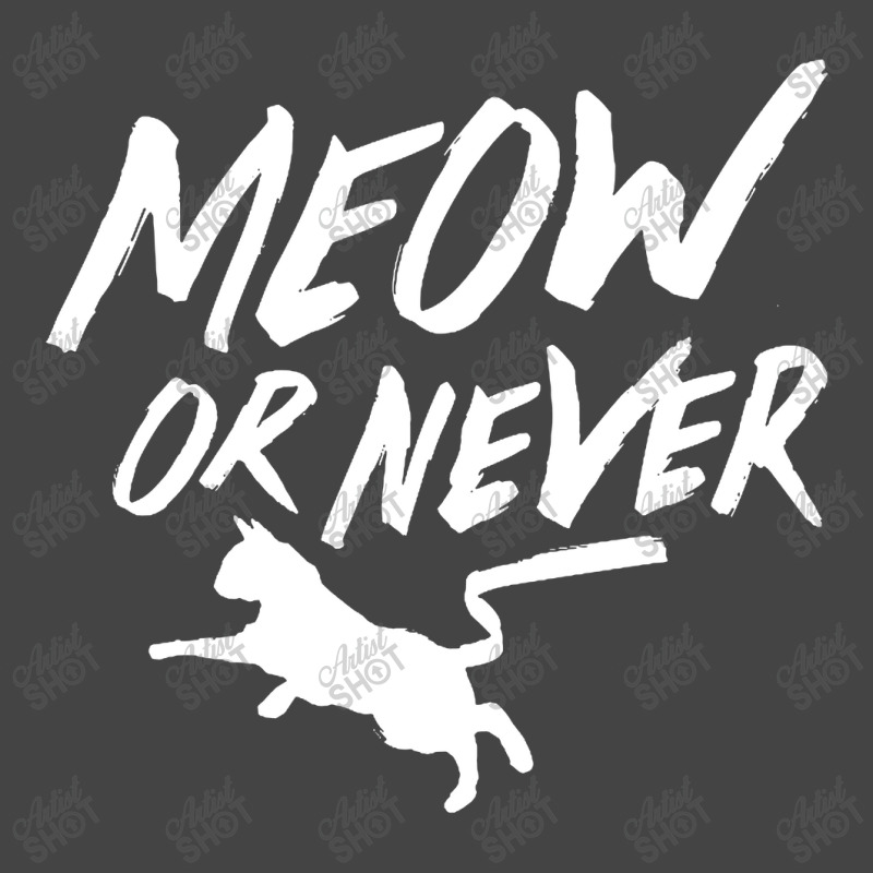 Meow Or Never Basic T-shirt | Artistshot