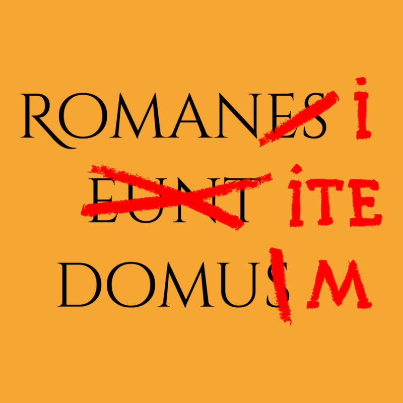 Romans Go Home Basic T-shirt by zkryjelizaq | Artistshot