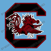 The Carolina Gamecocks Basic Youth T-shirt | Artistshot