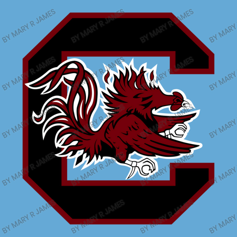 The Carolina Gamecocks Basic Youth T-shirt by Mary R James | Artistshot