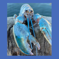 Funny Jumpscare Lobster Meme Blue Crustacean T Shi Basic T-shirt | Artistshot