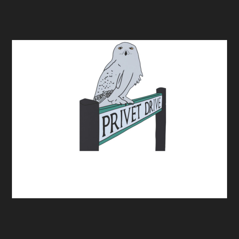 Owl For Wizards Drive Basic T-shirt by heathybatevam | Artistshot