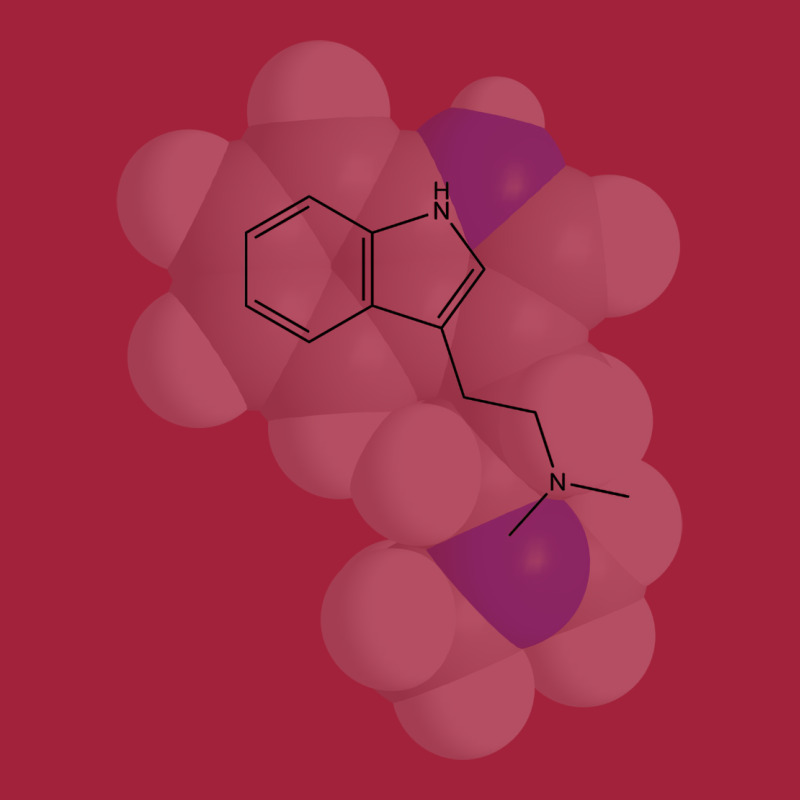 Dmt Molecule Chemistry Hipster Basic T-shirt | Artistshot