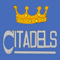 Citadels Nostalgia Basic T-shirt | Artistshot