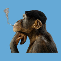 Cigarrete Smoking Monkey 80s Basic T-shirt | Artistshot