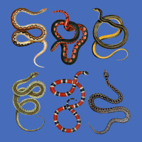 Different Types Of Snakes For Snake Lovers T Shirt Basic Youth T-shirt | Artistshot