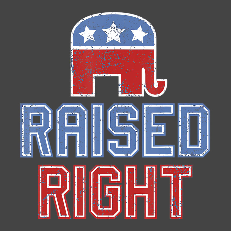 Republican Gop Conservative Raised Right T Shirt Basic Youth T-shirt | Artistshot