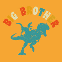 Promoted To Big Brother Dinosaur Gift Big Bro Basic T-shirt | Artistshot