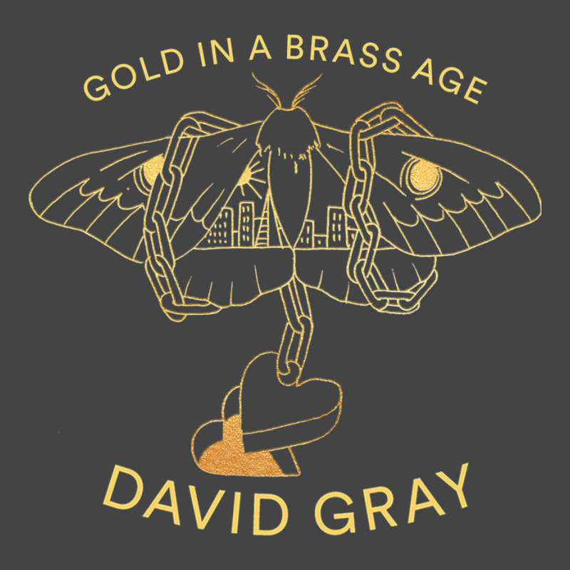 New David Gray In A Tour 2019 Basic T-shirt by deurinnipahy | Artistshot