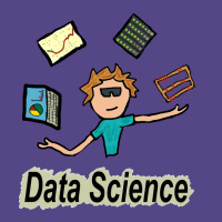 Data Scientist Summer Basic T-shirt | Artistshot