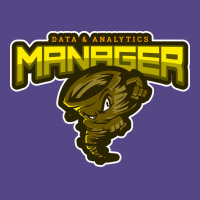 Furious Data Analytics Manager Gift Basic T-shirt | Artistshot