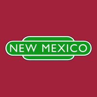 New Mexico 5 Basic T-shirt | Artistshot