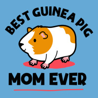 Funny Guinea Pig Owner Guinea Pig Mom Funny Girl Basic T-shirt | Artistshot