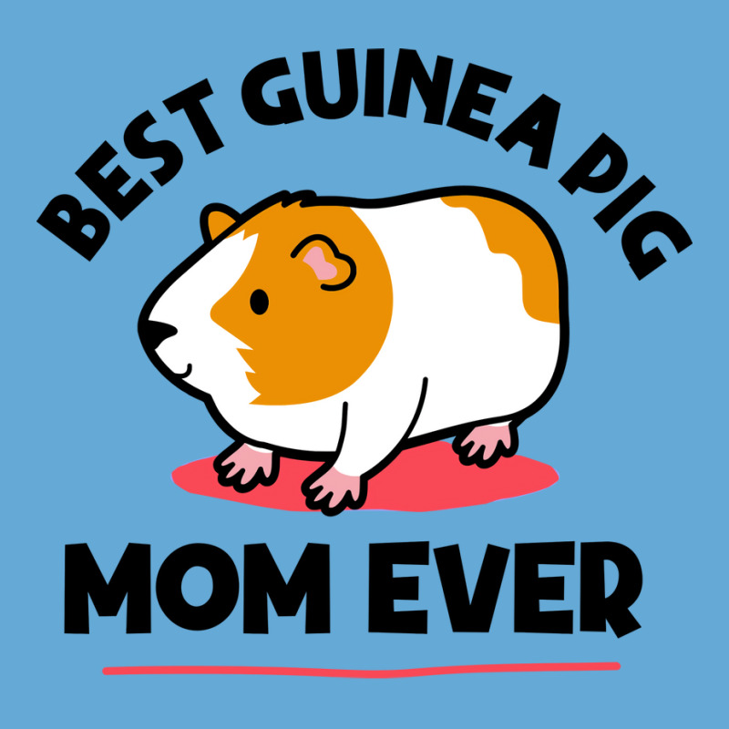 Funny Guinea Pig Owner Guinea Pig Mom Funny Girl Basic T-shirt | Artistshot