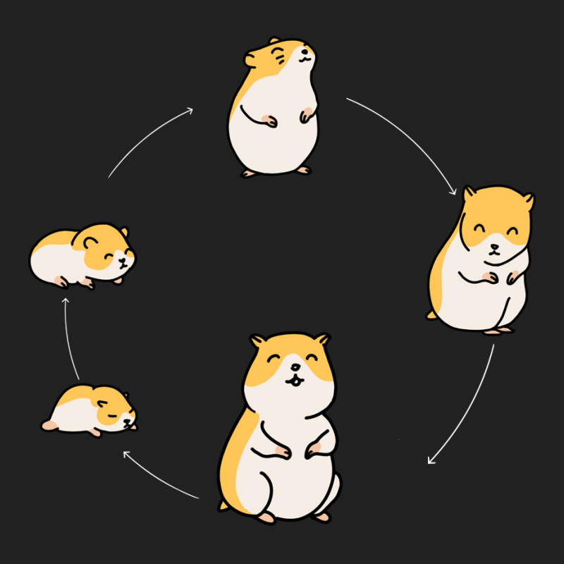 Hamster Lifecycle For Golden Hamster Owners Green Basic T-shirt by cupzchewl | Artistshot