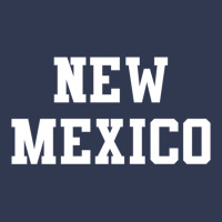 New Mexico 17 Basic T-shirt | Artistshot