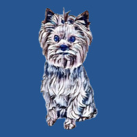 A Beautiful Yorkshire Terrier Ladies Fitted T-shirt | Artistshot