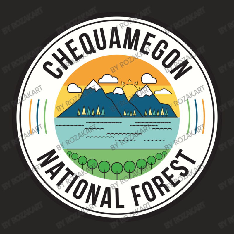 Chequamegon National Forest Retro Sign Ladies Fitted T-Shirt by RozakArt | Artistshot