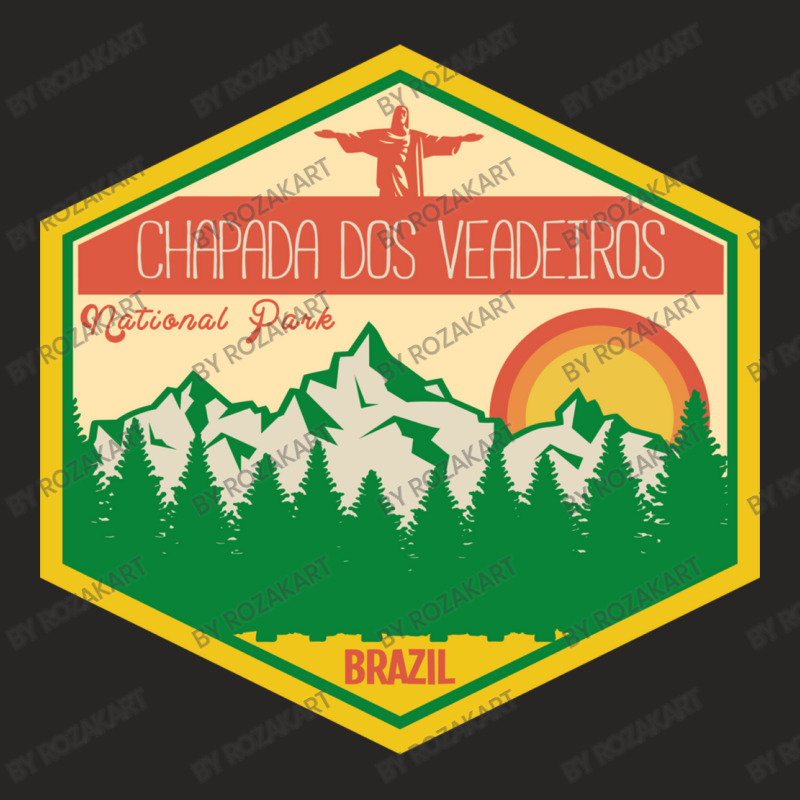 Chapada Dos Veadeiros National Park Ladies Fitted T-Shirt by RozakArt | Artistshot