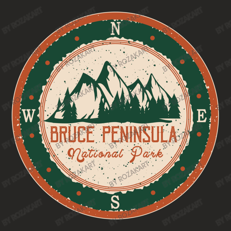 Bruce Peninsula National Park Ladies Fitted T-Shirt by RozakArt | Artistshot