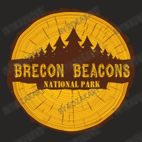 Brecon Beacons National Park,united Kingdom Ladies Fitted T-shirt | Artistshot