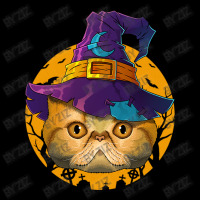 Exotic Shorthair Witch Funny Halloween Costume Cre Kids Cap | Artistshot