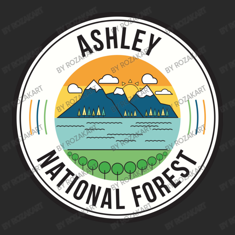 Ashley National Forest Retro Sign Toddler T-shirt by RozakArt | Artistshot