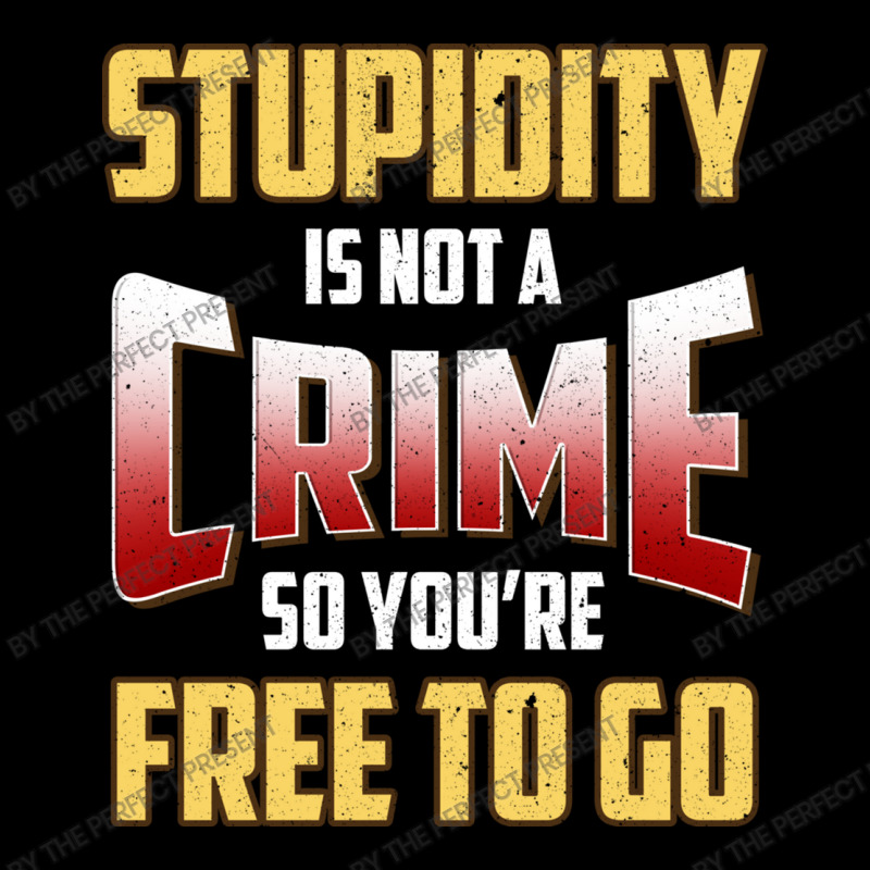 Stupidity Is Not A Crime, So You Re Free To Go (2) Lightweight Hoodie | Artistshot