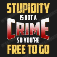 Stupidity Is Not A Crime, So You Re Free To Go (2) Hoodie & Jogger Set | Artistshot