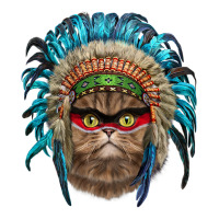 Fluffy Persian Cat Wearing Native American Indian Headdress Double Wine Paper Bag - 6 1/2 X 3 1/2 X 12 3/8 | Artistshot