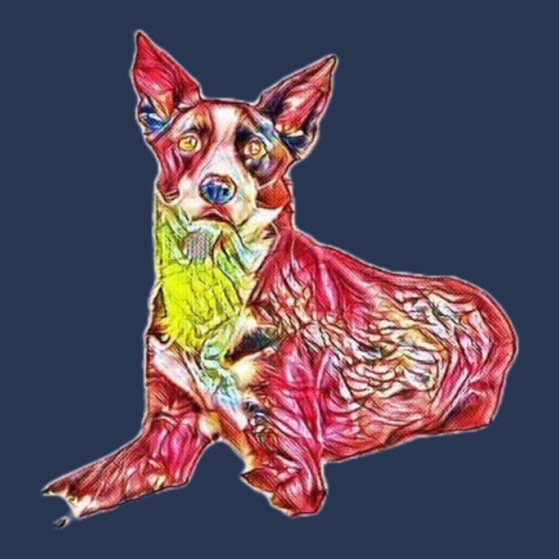 An Alert Border Collie Mix Br Ladies Denim Jacket | Artistshot