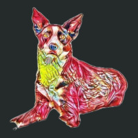 An Alert Border Collie Mix Br Women's Triblend Scoop T-shirt | Artistshot