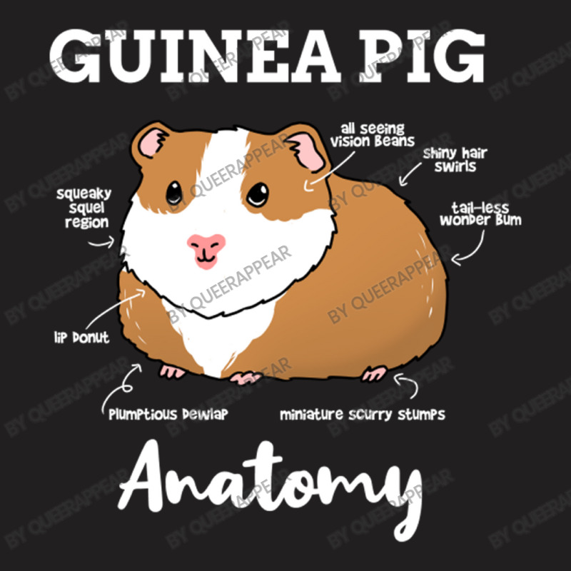 Guinea Pig Anatomy For Guinea Pig Lover T-shirt | Artistshot