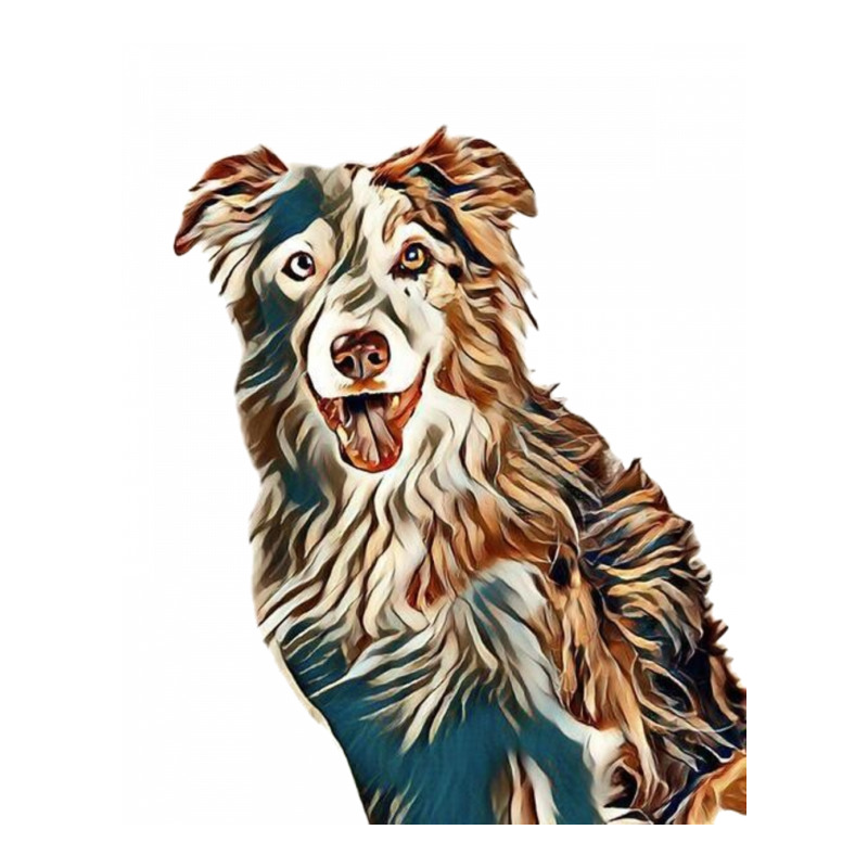 Head Shot Of Border Collie Do Maternity Scoop Neck T-shirt by Kemnabi | Artistshot