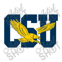 The Coppin State Eagles Debie Paper Bag - 10 X 5 X 13 | Artistshot