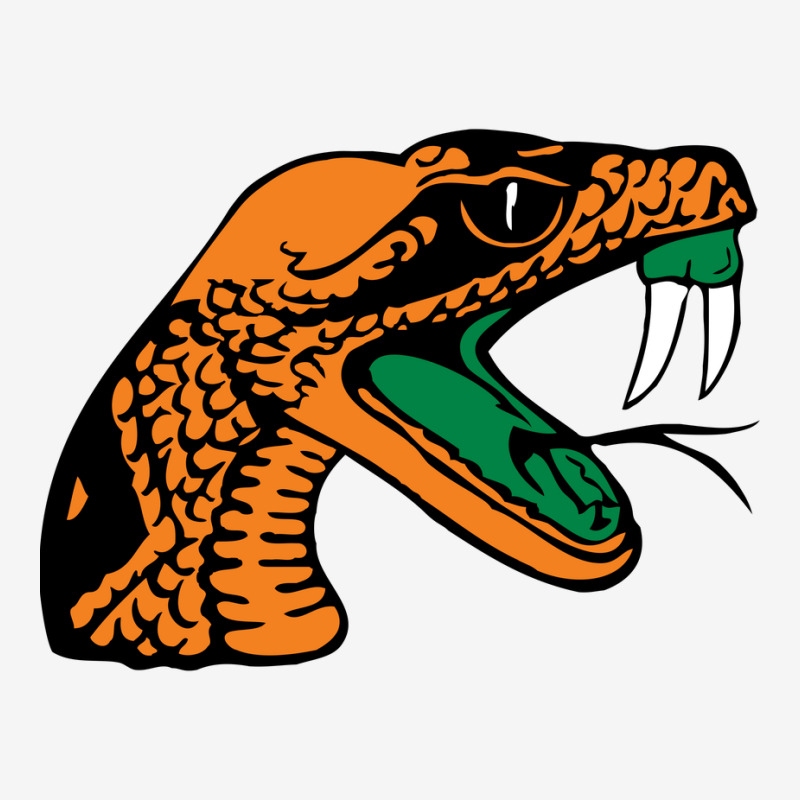 Florida A&m Rattlers Adjustable Cap by tonyleo | Artistshot