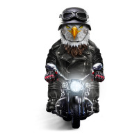 Bald Eagle Riding Motorcycle   T Shirt Star Paper Bag - 13 X 7 X 13 | Artistshot