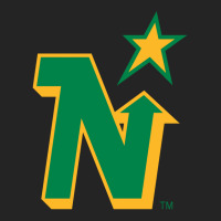 Minnesota North Stars 3/4 Sleeve Shirt | Artistshot