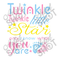 Twinkle Twinkle Little Star Only I Know Gender Keeper Reveal Wine Paper Bag - 5 1/2 X 3 1/4 X 13 | Artistshot