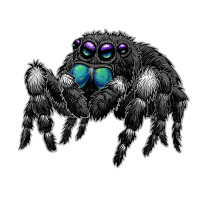 Daring Bold Jumping Spider Phidippus Audax Cute Arachnid T Shirt Cub Paper Bag - 8 X 4 1/2 X 10 1/4 | Artistshot