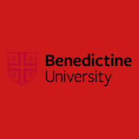 University Of Benedictine Baseball Cap | Artistshot