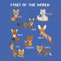 Foxes Of The World Funny Fox Animals Educational Mesh Cap | Artistshot