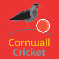 Cornwall County Cricket Club Mesh Cap | Artistshot