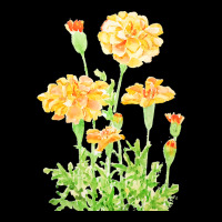 Orange Mexican Marigold Flowers T  Shirtorange Mexican Marigold Flower Camo Snapback | Artistshot