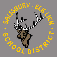 Salisbury Elk Lick School District Flat Bill Snapback Cap | Artistshot