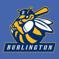 Burlington Bees (1) Mesh Cap | Artistshot